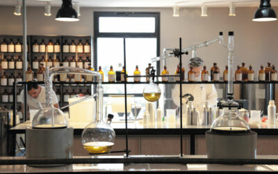 Onuava, la fragrance divine & française