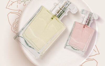 Bonjour tout le monde !