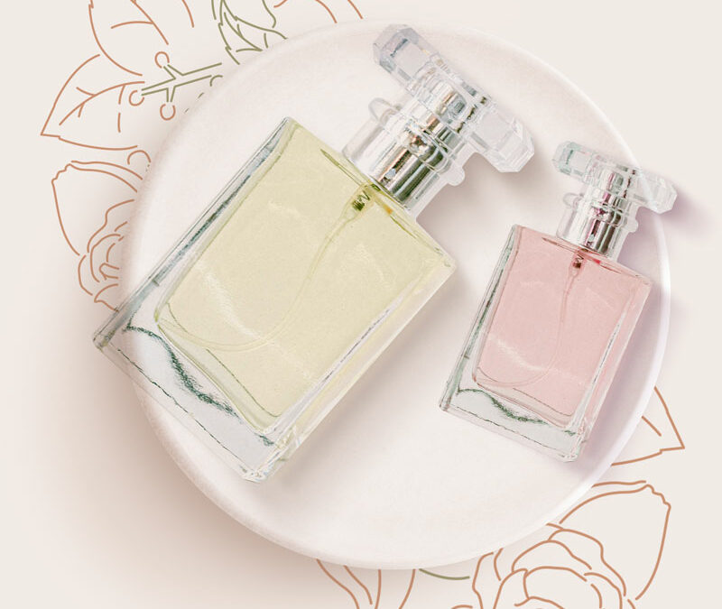 Bonjour tout le monde !